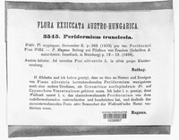 Peridermium truncicola image
